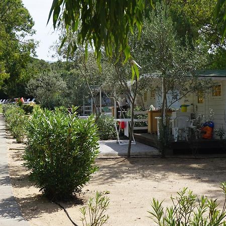 باديسي Camping Baia Paradiso المظهر الخارجي الصورة