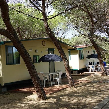 باديسي Camping Baia Paradiso المظهر الخارجي الصورة