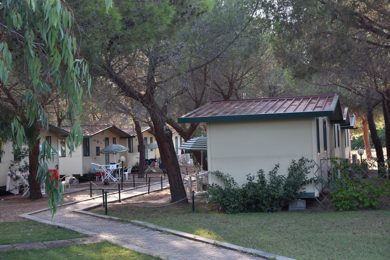 باديسي Camping Baia Paradiso المظهر الخارجي الصورة